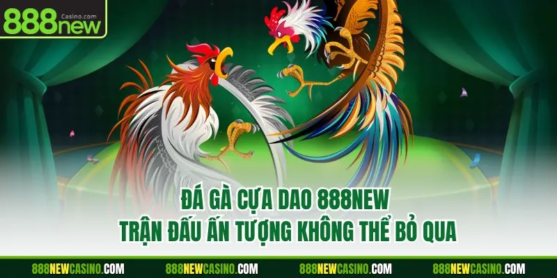 Đá Gà Cựa Dao 888NEW - Trận Đấu Ấn Tượng Không Thể Bỏ Qua